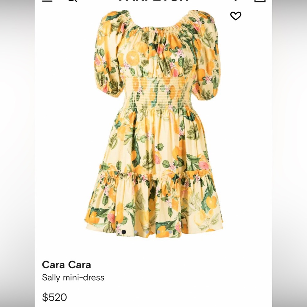 Cara Cara Sally Mini Dress Like New